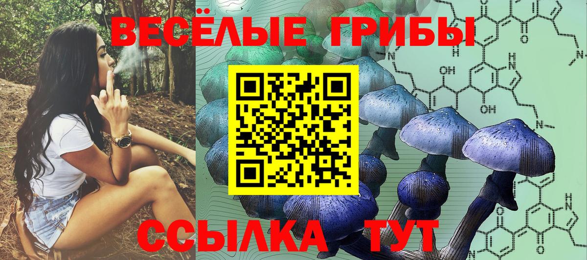 Псилоцибиновые грибы Magic Shrooms Дятьково