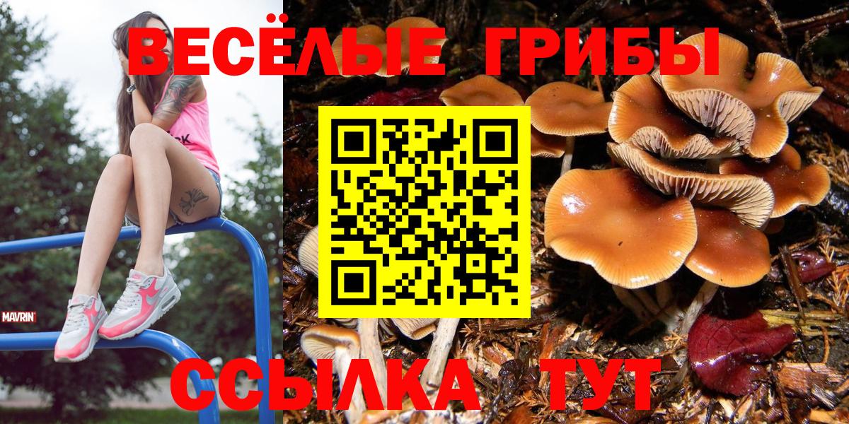 Галлюциногенные грибы Cubensis  Галлюциногенные грибы GOLDEN TEACHER  Дятьково  Вход с VPN 